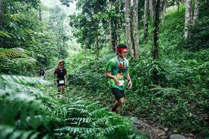 BIB: 
                            <button type="button" onclick="openModal(26359802)" class="btn btn-primary btn-sm float-right btn-popup" data-toggle="modal" data-target=".modal-high-quality">
                        <i class="fas fa-shopping-cart"></i> Add to Cart
                    </button>
                                            <button type="button" onclick="isThisMe(26359802, true)" class="btn btn-success btn-sm float-right btn-popup btn-isme hidden" data-toggle="tooltip" data-placement="bottom" title="นี่คือรูปของคุณใช่ไหม คลิกที่นี่เพื่อเอาเข้าอัลบั้ม">
                        <i class="fas fa-plus"></i> Add to album
                    </button>
                    <button type="button" onclick="isThisMe(26359802, false)" class="btn btn-warning btn-sm float-right btn-popup btn-isnotme hidden">
                        <i class="fas fa-ban"></i> Remove from album
                    </button>